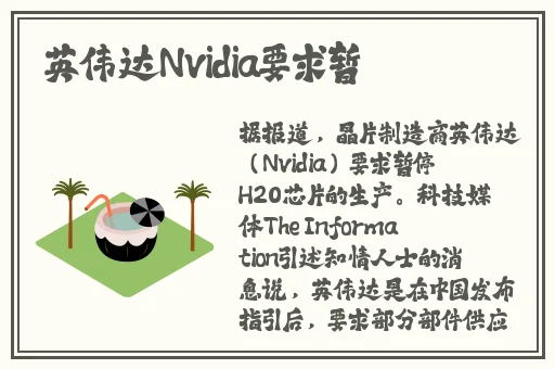 晚上偷偷看B站软件推荐